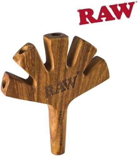 Raw Level Five